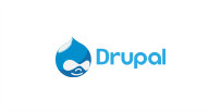 Hire the best Drupal Developers in India